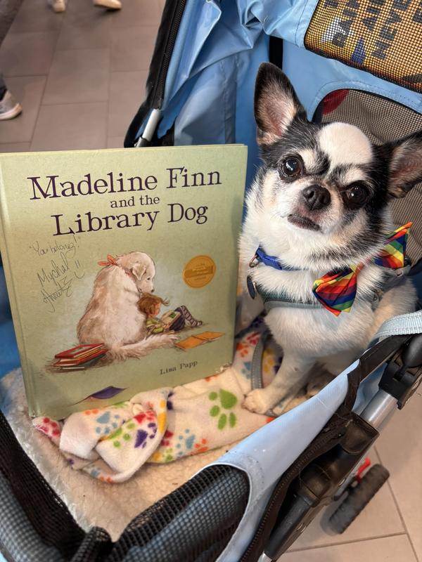 Theo, a WAGS Therapy dog, posing with his copy of Madeline Finn and the Library Dog, signed by Michael Threets, the new host of Reading Rainbow