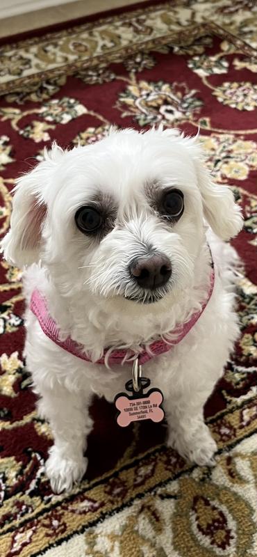 Our little princess