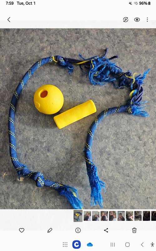 KONG Jaxx Brights Dog Ropes Tug Toy with Ball, Assorted, Medium