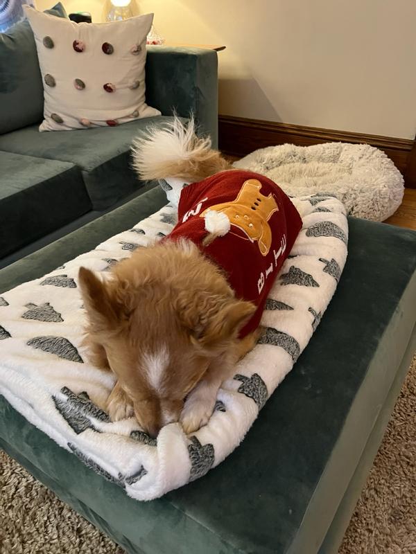 Frisco Bite Me Gingerbread Dog & Cat Christmas Sweater