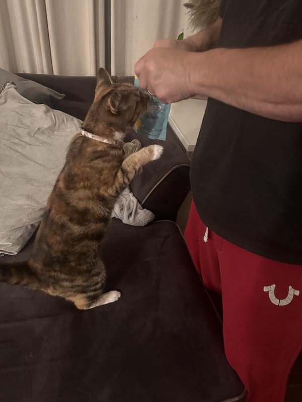 Daddy hurry up give me some