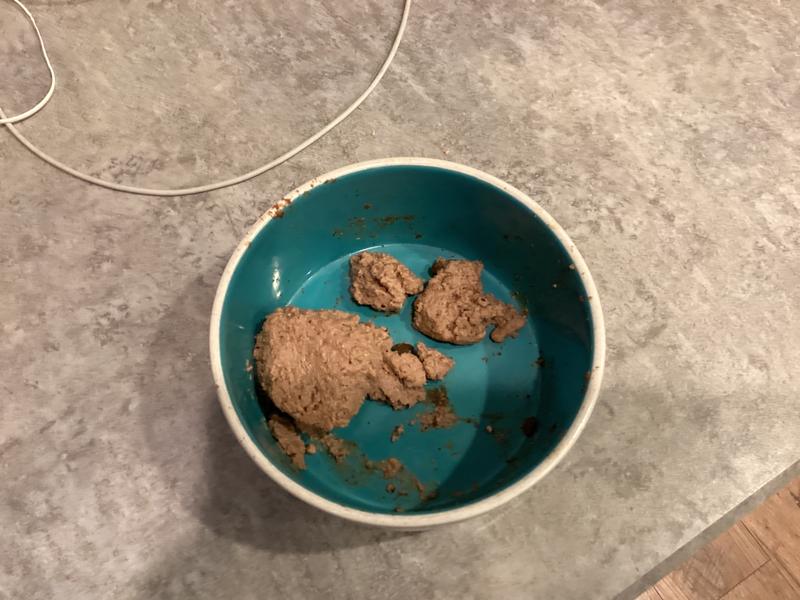 Trying to mix with other dry food and he will not eat the wet at all !