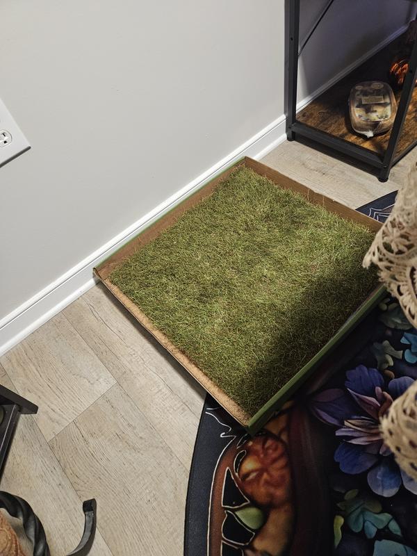 Still green and fresh after over a week.