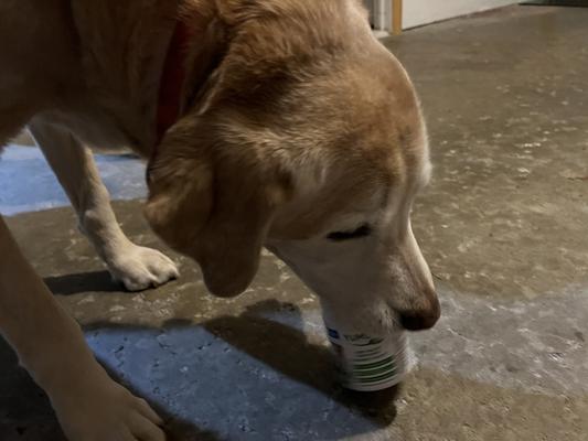 Cleaning out the pill container. He loves the taste.