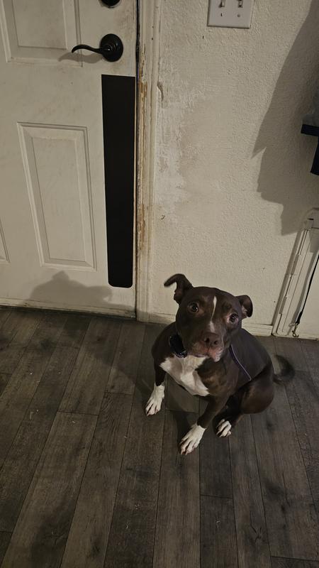 The color contrast made her nervous at first.