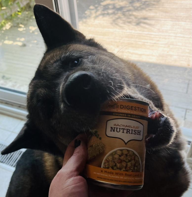 My Akita trying to swipe the can of Nutrish to open for herself.