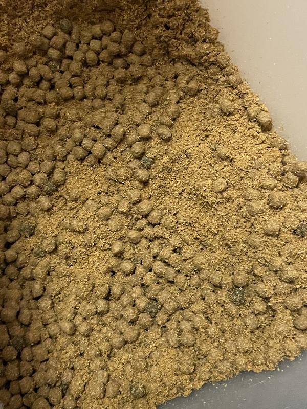 Very mealy rather than whole pieces of food