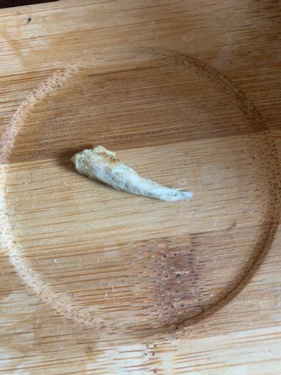 A fish I found in it