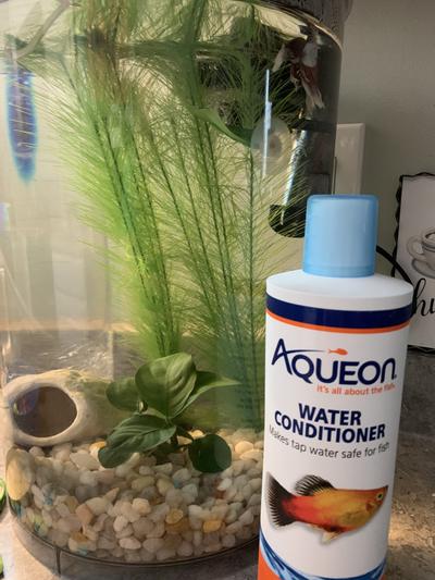 AQUEON Tap Water Conditioner 16 oz bottle Chewy