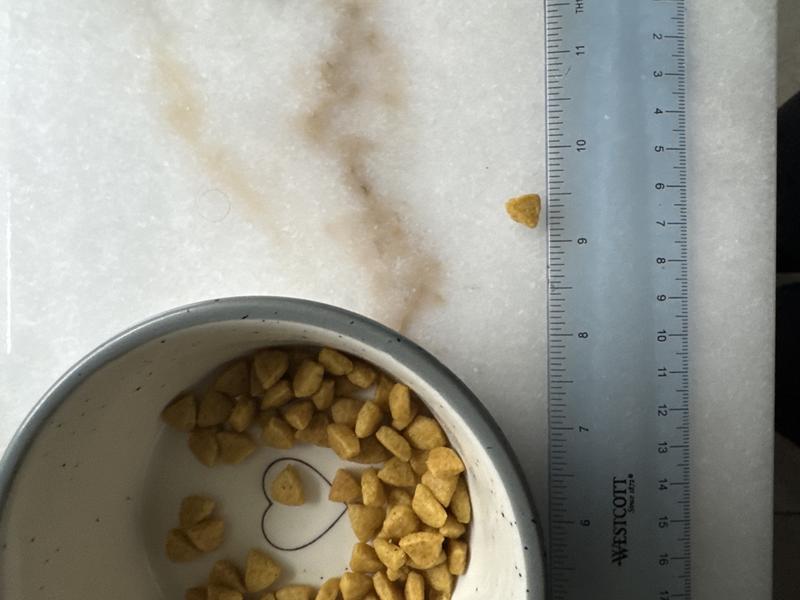 ash content in cat food royal canin Royal Canin Ageing 12+ Cat Food 400g  ZOOMADOG
