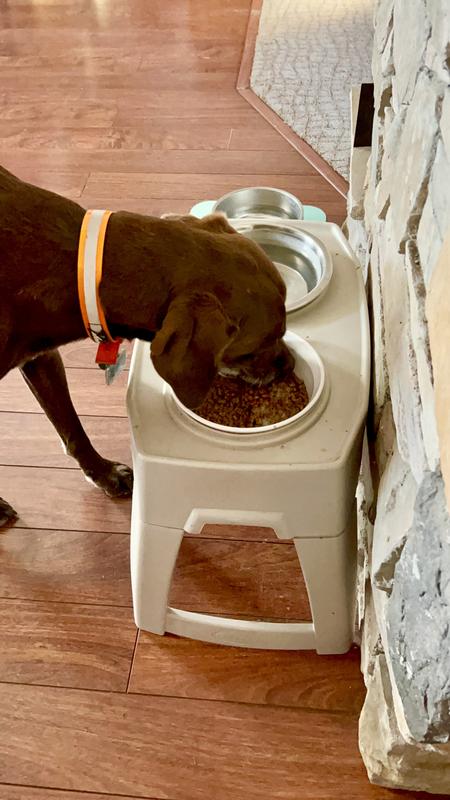 Video of Whiskey’s first reaction