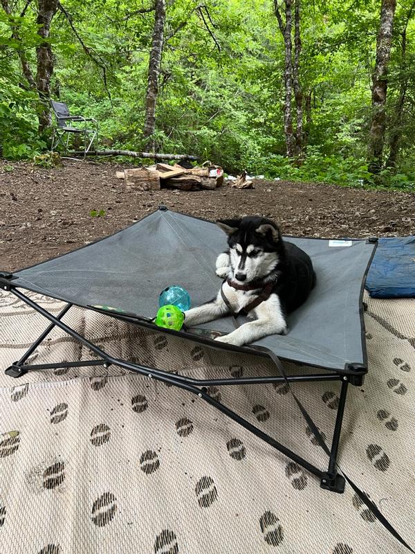 Cabelas elevated 2024 dog bed