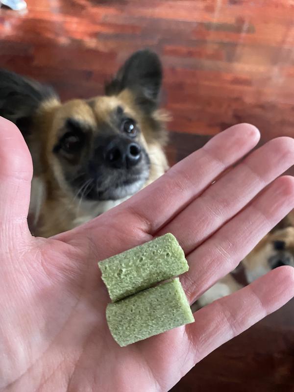 Interested but ultimately did not want it