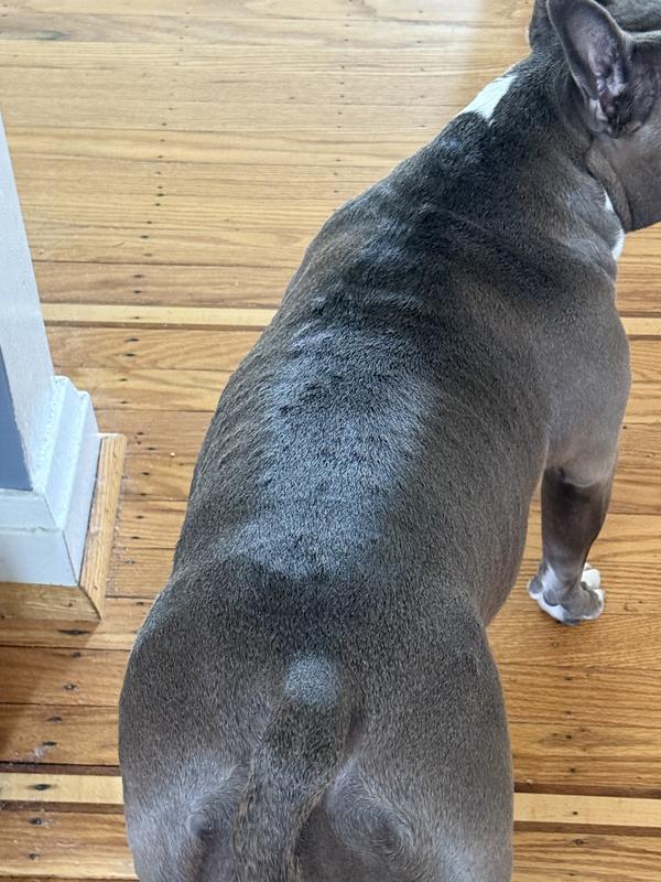 The only line of Farmina we wont be buying again