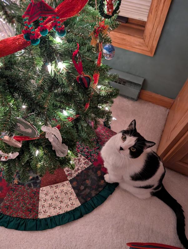 The furry dude says "thanks Chewy"