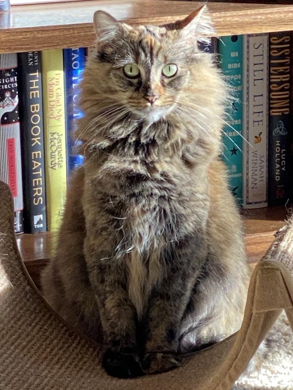 She’s a Blue Buffalo gal