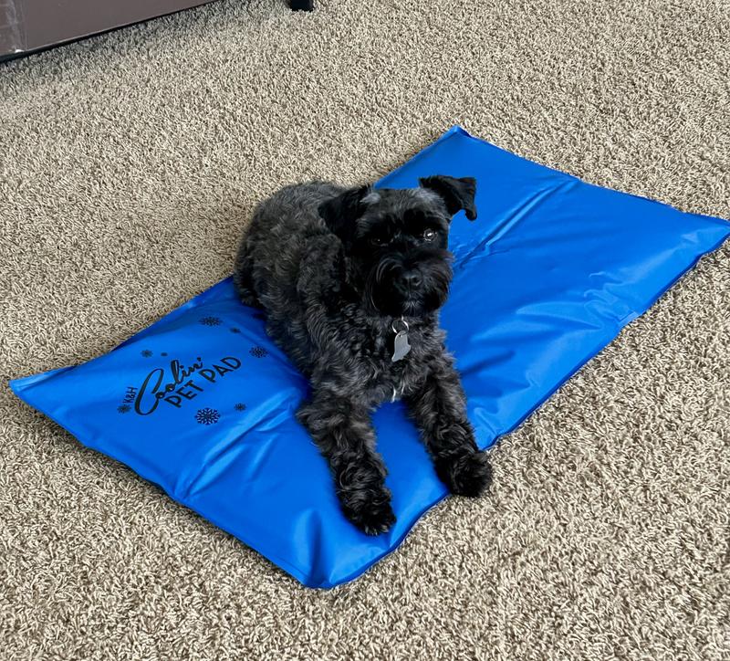 Don’t let the cuteness fool you!