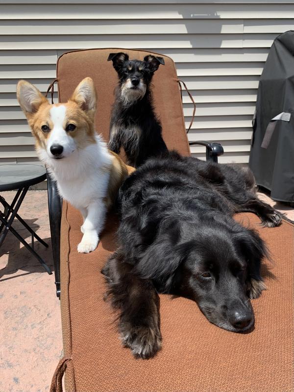 Vixen, Lido, & Mac