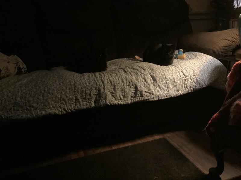 Relaxed and tired,full, and loved!!!!❤️