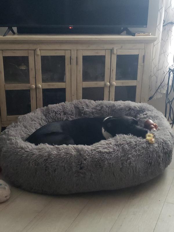 FURHAVEN Plush Ball Pillow Dog Bed with Removable Cover, Espresso, X