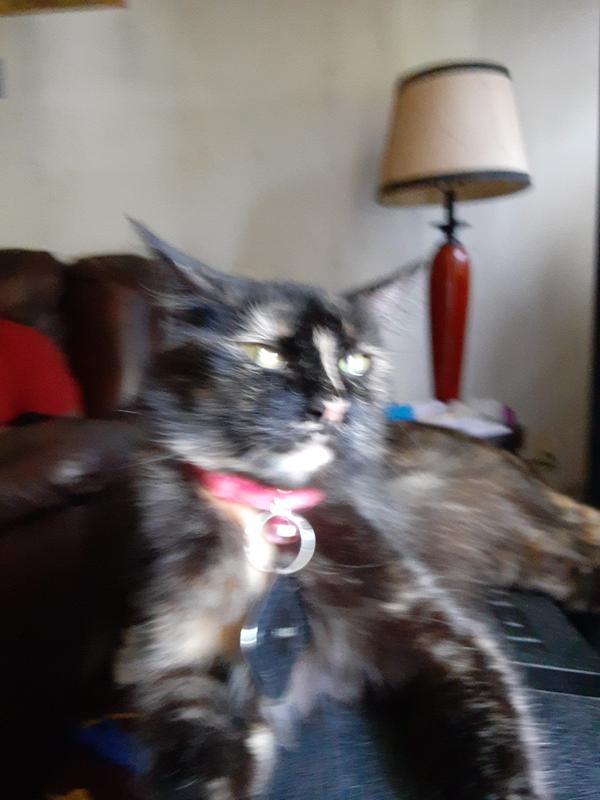 It helps a whole lot