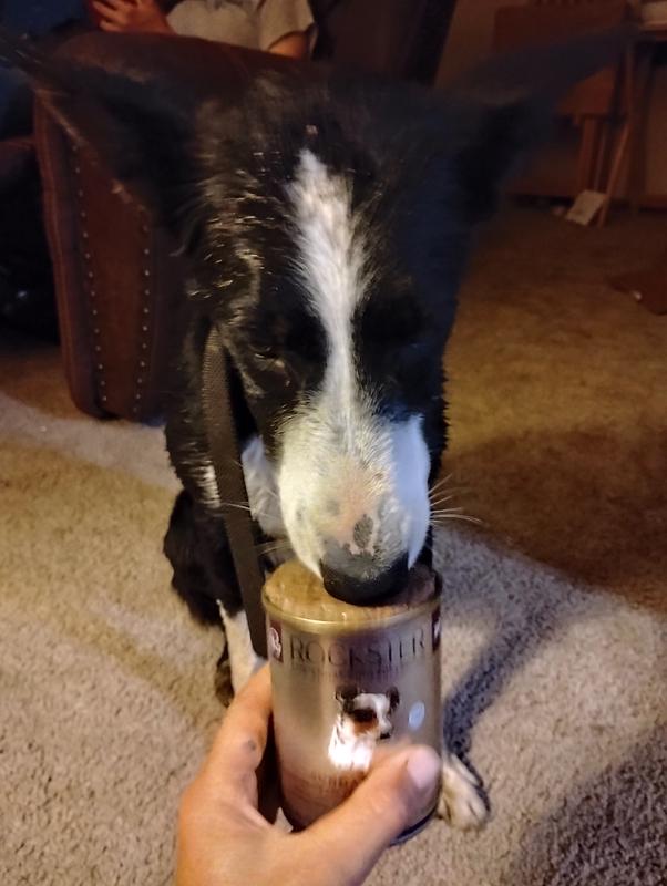 Had to get a few licks before it went to her dish.