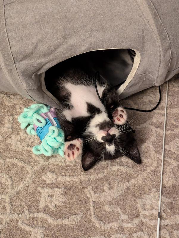 he passed out after playing so hard