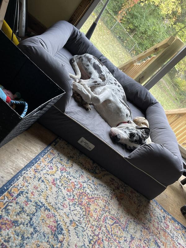 PETFUSION Ultimate Lounge Memory Foam Bolster Cat & Dog Bed with