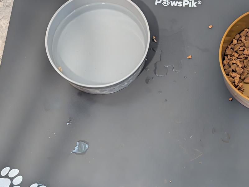 Hunting dog drips a lot of water when he drinks!