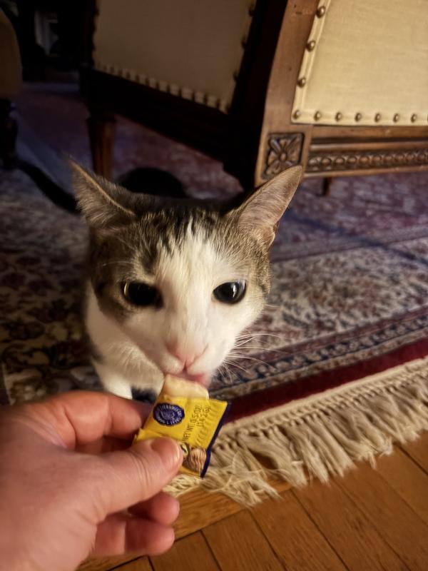 Nola is scared but intrigued