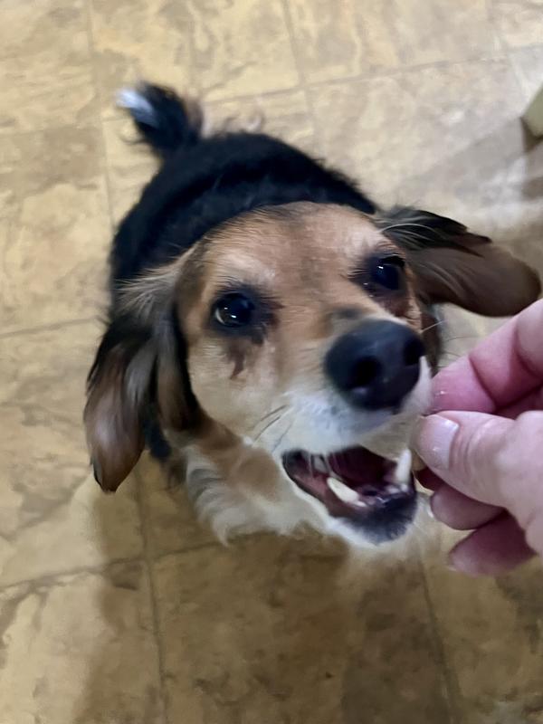 I wish you could hear this picture. Cronch