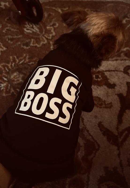 FRISCO Big Boss Dog & Cat T-Shirt 