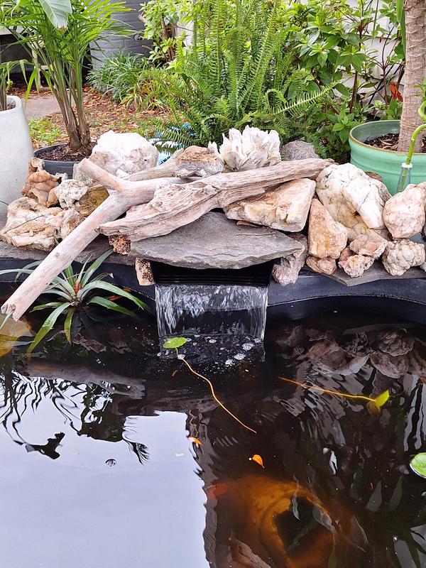 Serene Waterfall for Koi pond