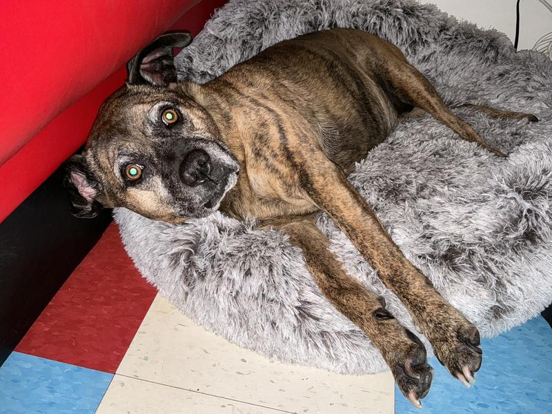 Look at that full belly