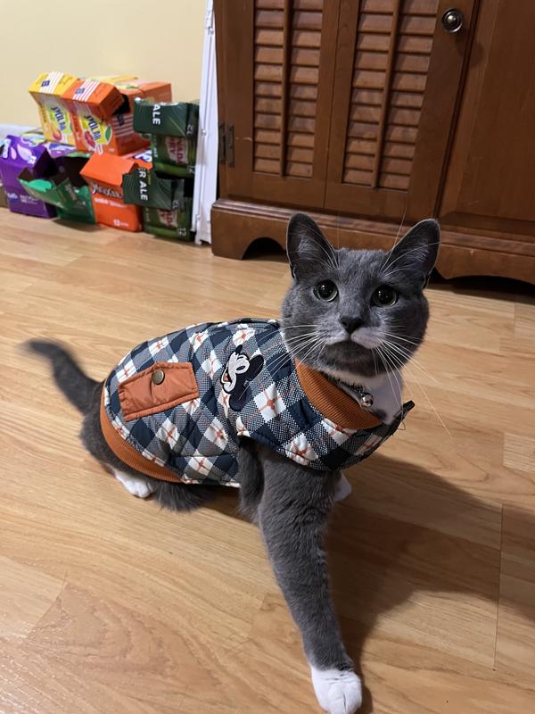 Disney Lightweight Mickey Quilted Bomber Dog & Cat Jacket