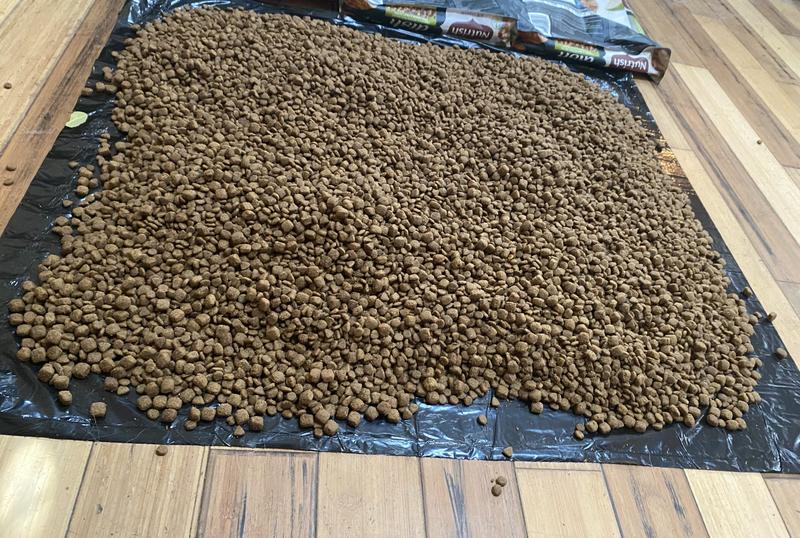 Not a chicken, fruit, or veggie piece in view in 3 different bags, all same BBdate