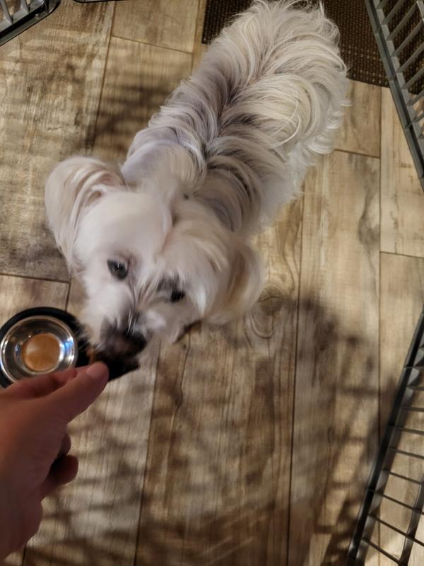 13 year old loves them.