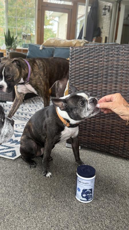 So easy to give my senior dog, Lulu her eye support treat