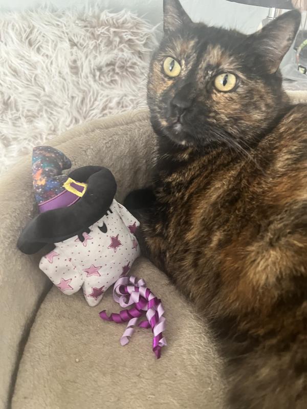 festive little witch