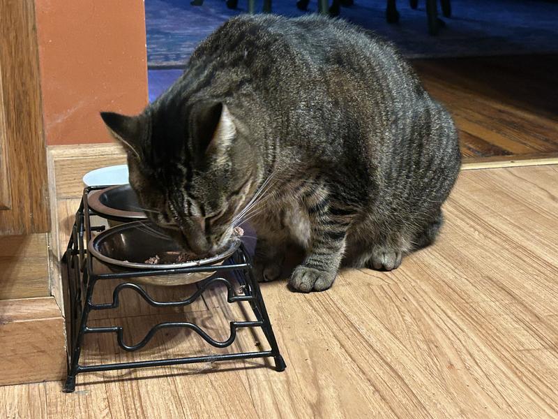 Ahhhh!  Dinner time—I love this place!