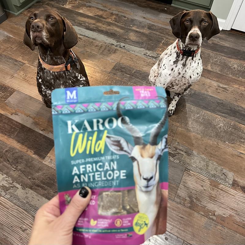 Trying to be patient to try a new treat.