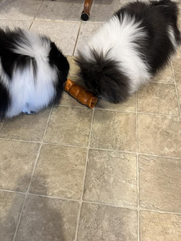 We love it but it’s so big.