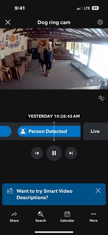 Getting ready to leave them alone out of the kennels for the first time.