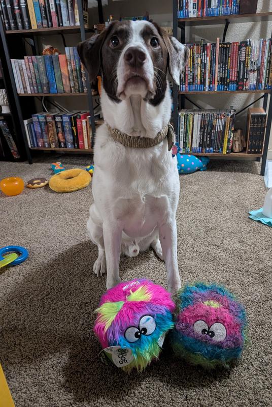 Ready to replace the old one