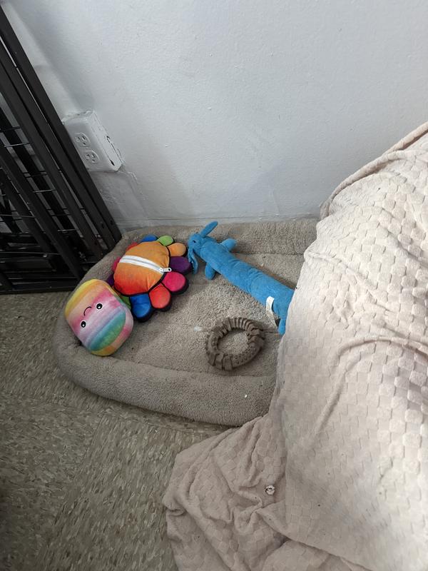 She never sleeps here. This is just her "calming down" spot.