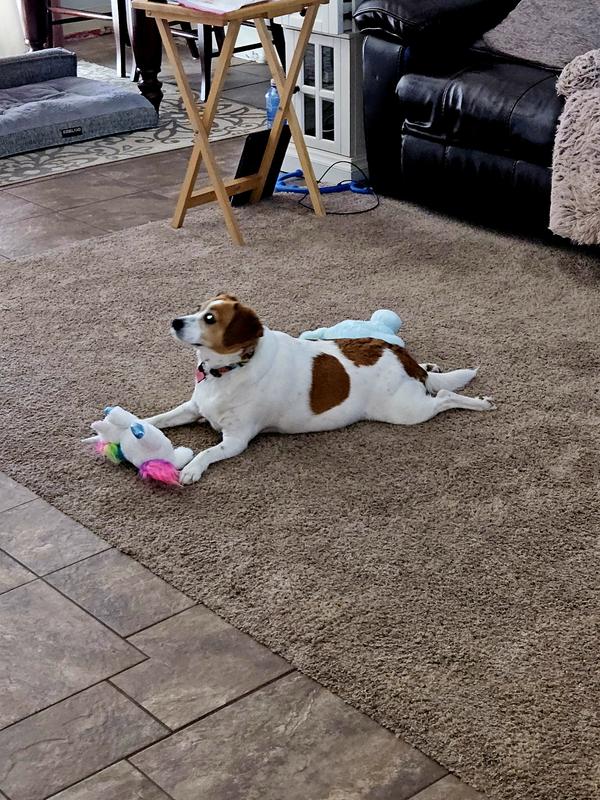 Playing with my new toys and watching TV!