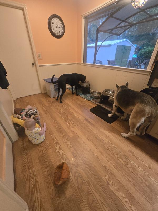 Loving their new tasty food