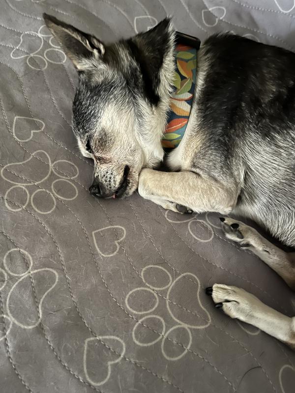 At 16 she sleeps very soundly.