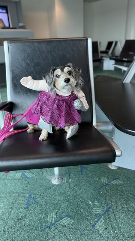 Everyone loved my outfit!!!