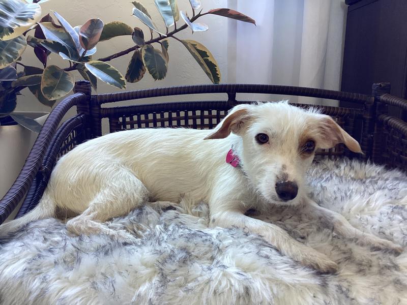 Relaxing after a day of shenanigans.